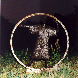 Zuarbeit für Kugelplastik „Thomas Münzer - bewegt, aber eingesschlossen in sich selbst” Bronze 1992
