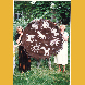 Teppich hergestellt mit vielen Kindern „Tiergeburtstag” Filz 1993